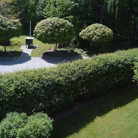 Ferienhaus Bruetting Pottenstein Dış mekan fotoğraf